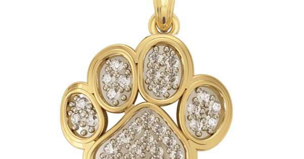 Buy Dog Paw Pet Charm in Gold Online at Best Price Jewelslane